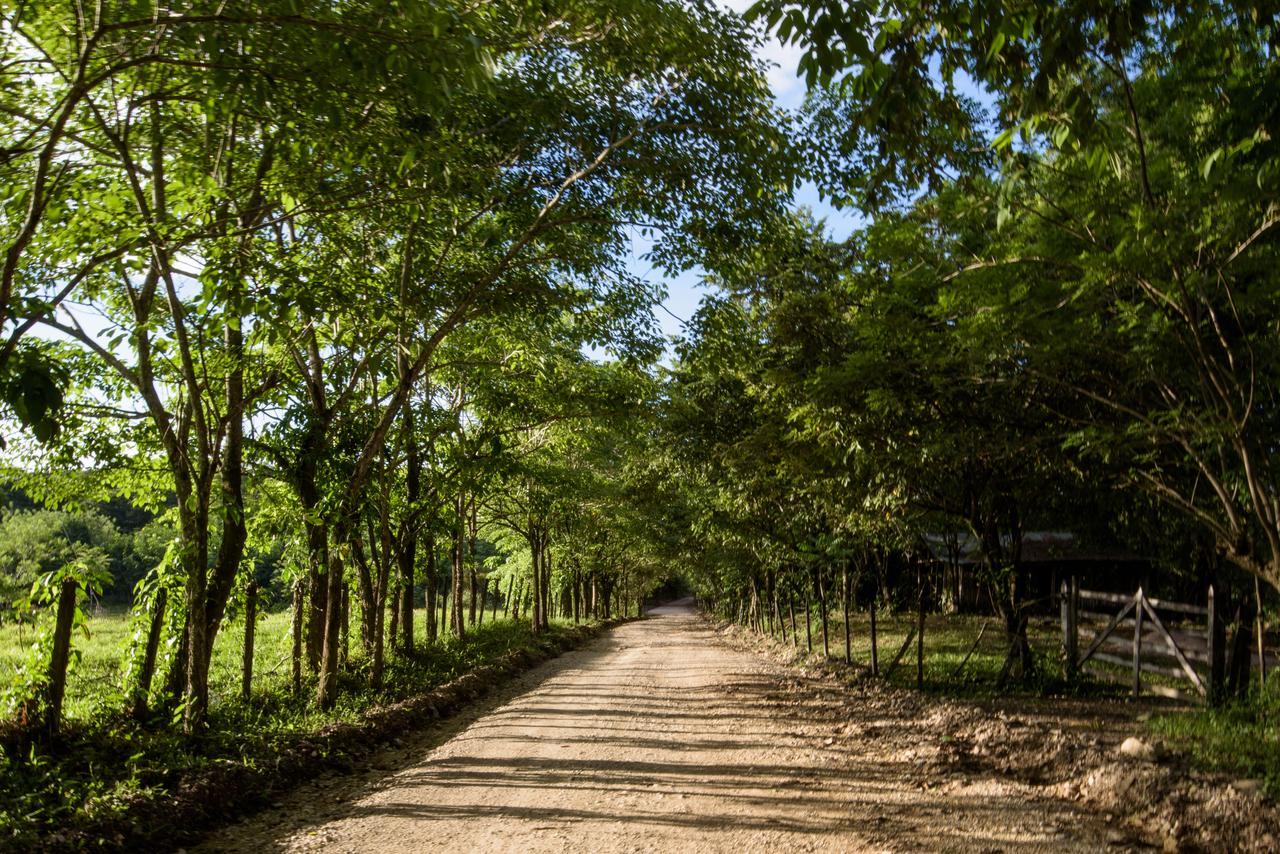 Villas Adriana, パレンケ エクステリア 写真
